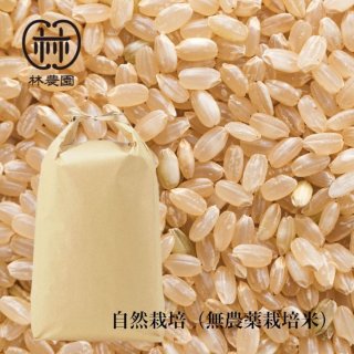 自然栽培米（無農薬・無肥料） - 林農園